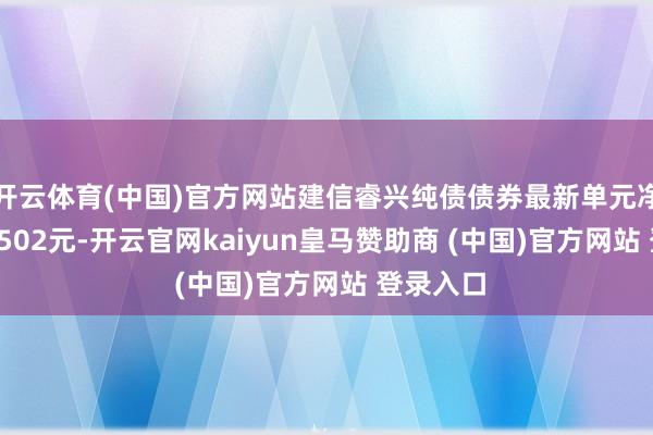 开云体育(中国)官方网站建信睿兴纯债债券最新单元净值为1.0502元-开云官网kaiyun皇马赞助商 (中国)官方网站 登录入口