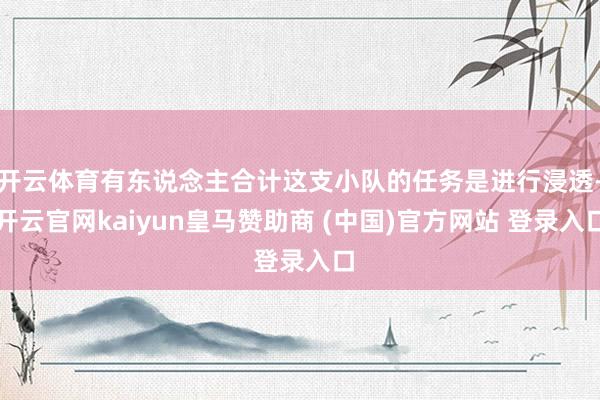 开云体育有东说念主合计这支小队的任务是进行浸透-开云官网kaiyun皇马赞助商 (中国)官方网站 登录入口