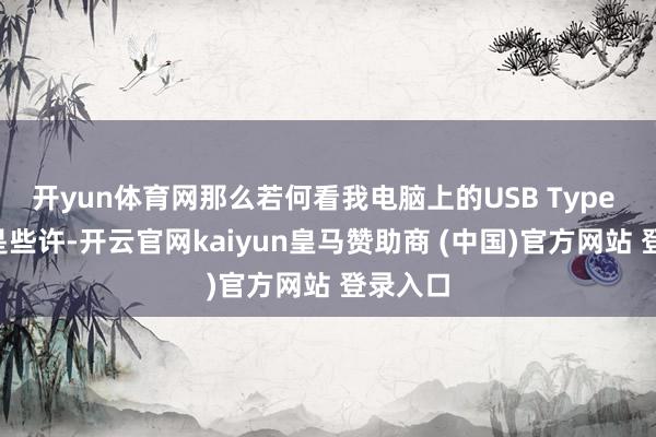开yun体育网那么若何看我电脑上的USB Type C速率是些许-开云官网kaiyun皇马赞助商 (中国)官方网站 登录入口